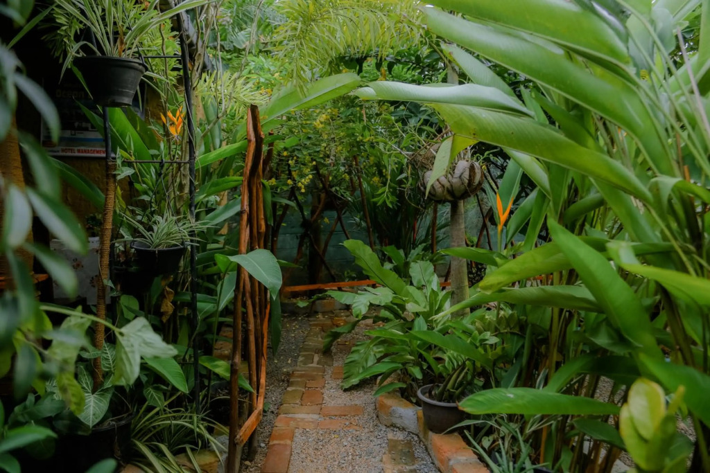 Ruwan Jungle Homestay