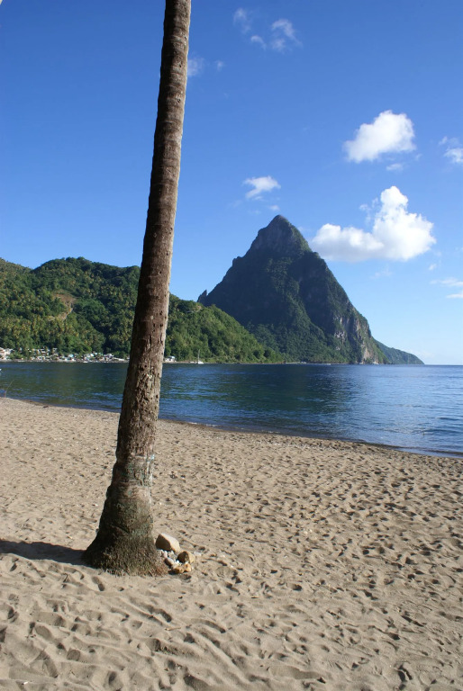 Hummingbird Beach Resort
