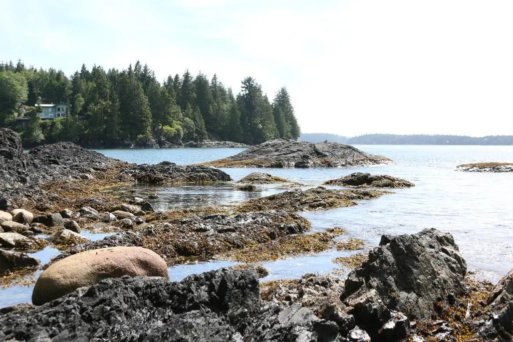 Duffin Cove Resort