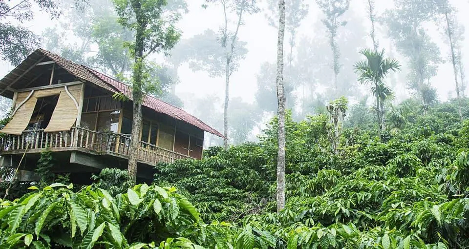 The Coffee County Resorts