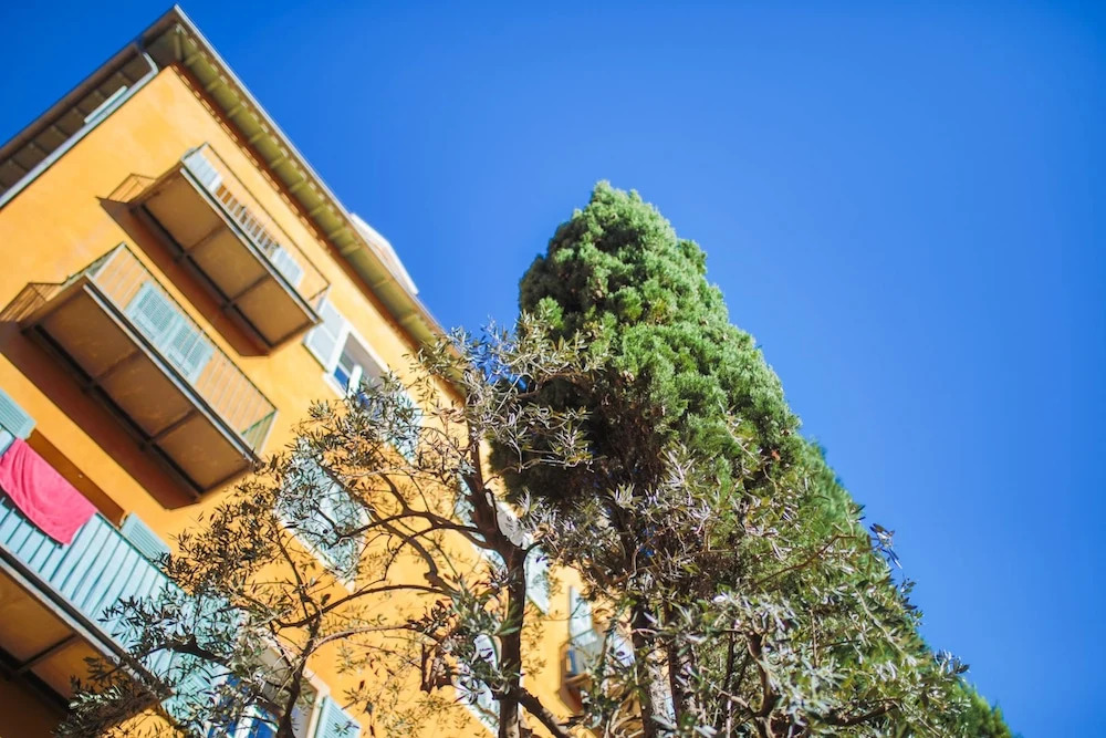 Le Jardin Segurane AP1035