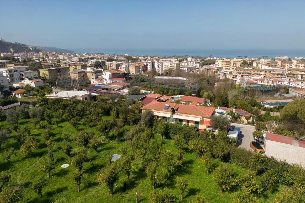 Tenuta Di Leva