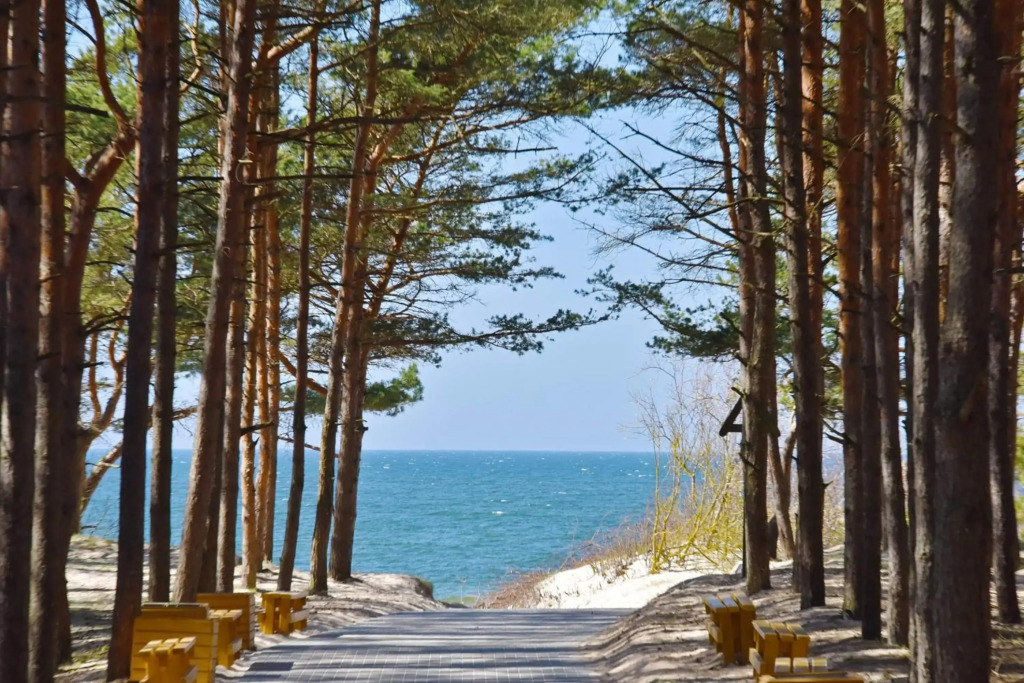 BOHO BEACH STUDIO su terasa ir baseinu