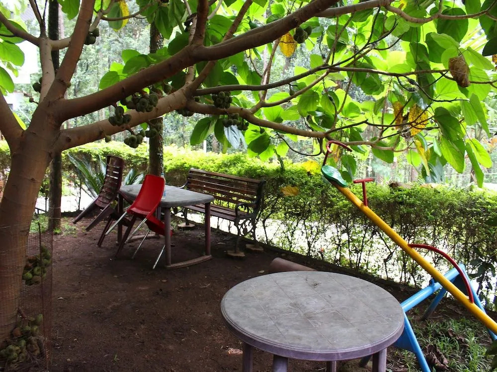 OYO 14807 Hotel Yercaud The Raintrees