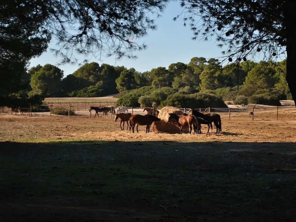 This finca has its own private access to the beautiful sandy beach Es Trenc