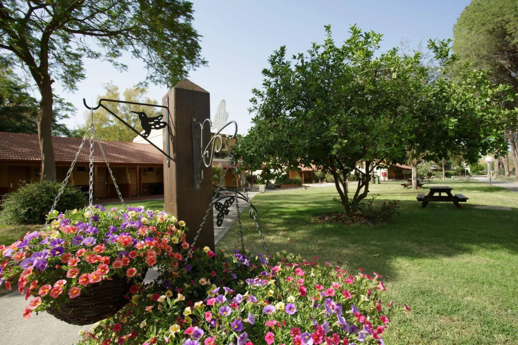 Ginosar Village Kibbutz