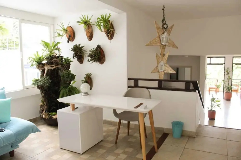 Soul Garden Yoga Hostel & Art Café