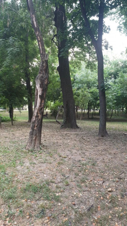 Studio Park