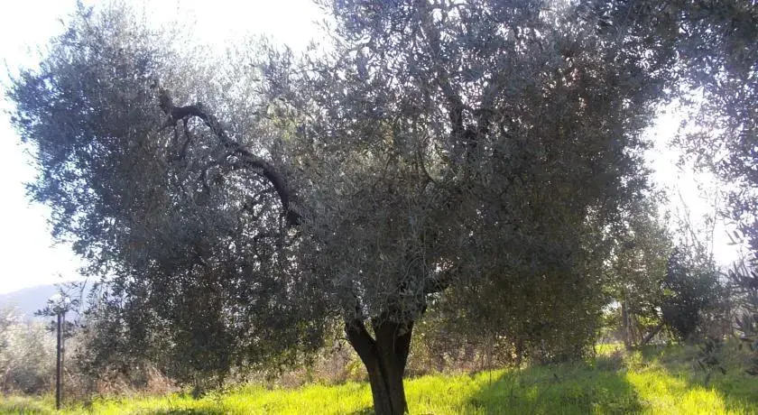 Agriturismo Stella e il Grillo