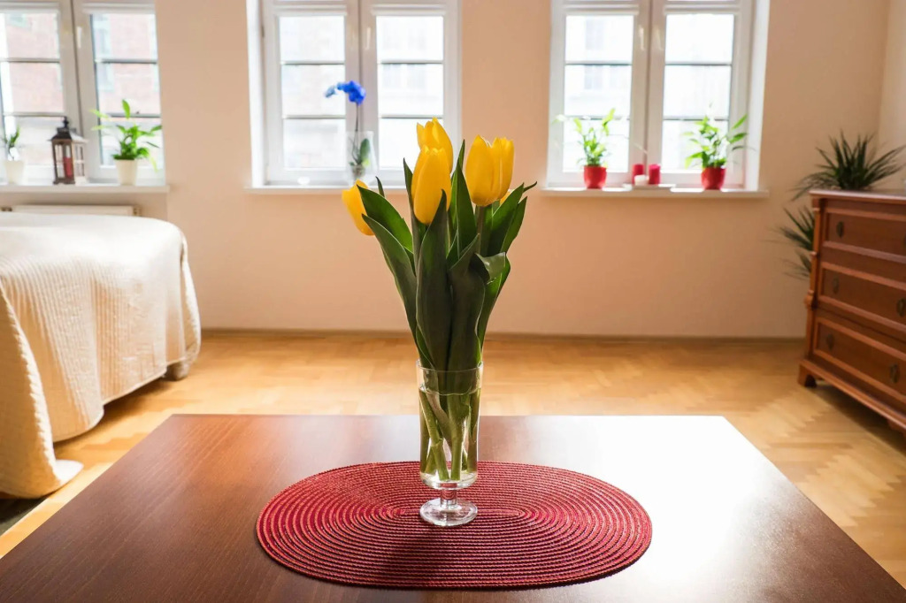 Apartamenty VNS
