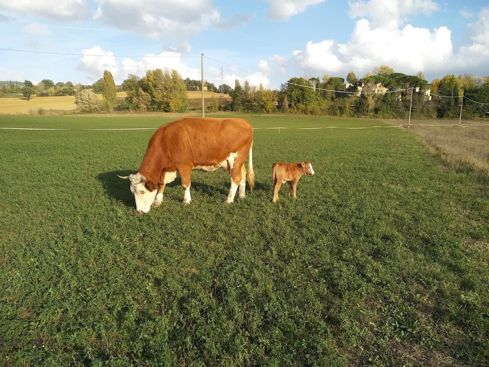 Agriturismo Fattoria Didattica I Due Mondi