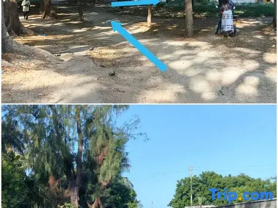 Sawa Sawa Beach Hotel&Backpacks