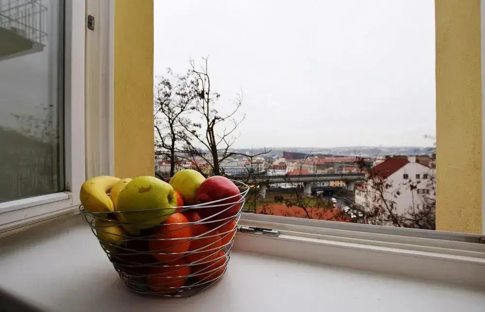 Budget Rehorova Apartments