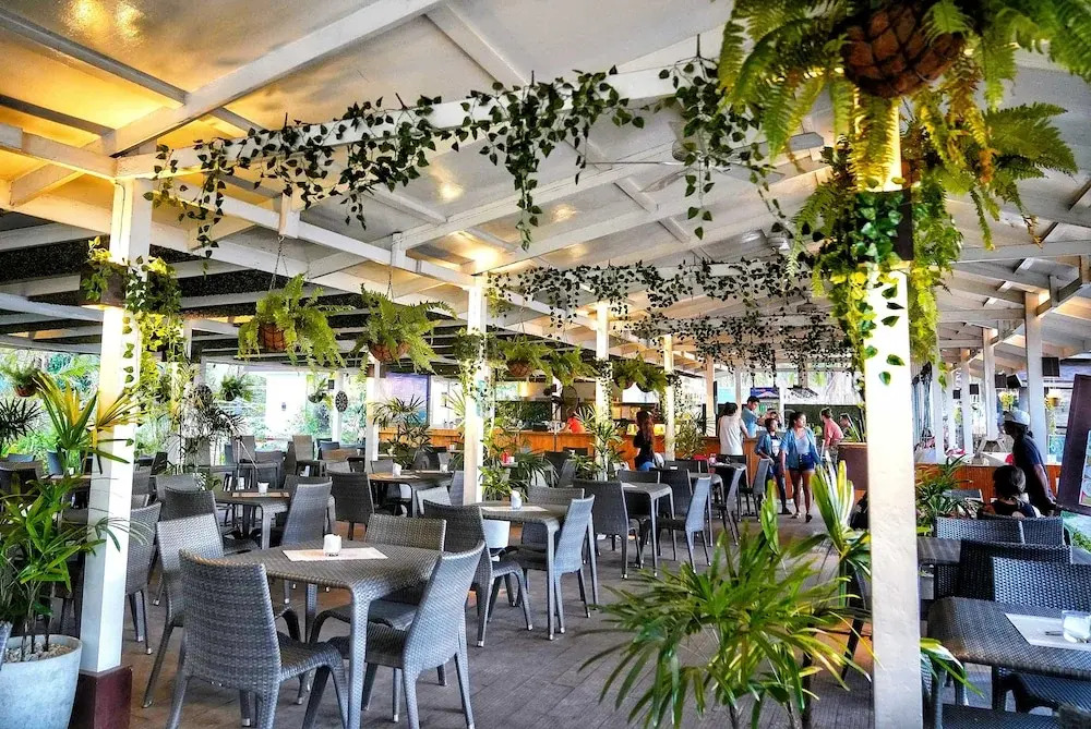 Mad Monkey Hostel Nacpan Beach