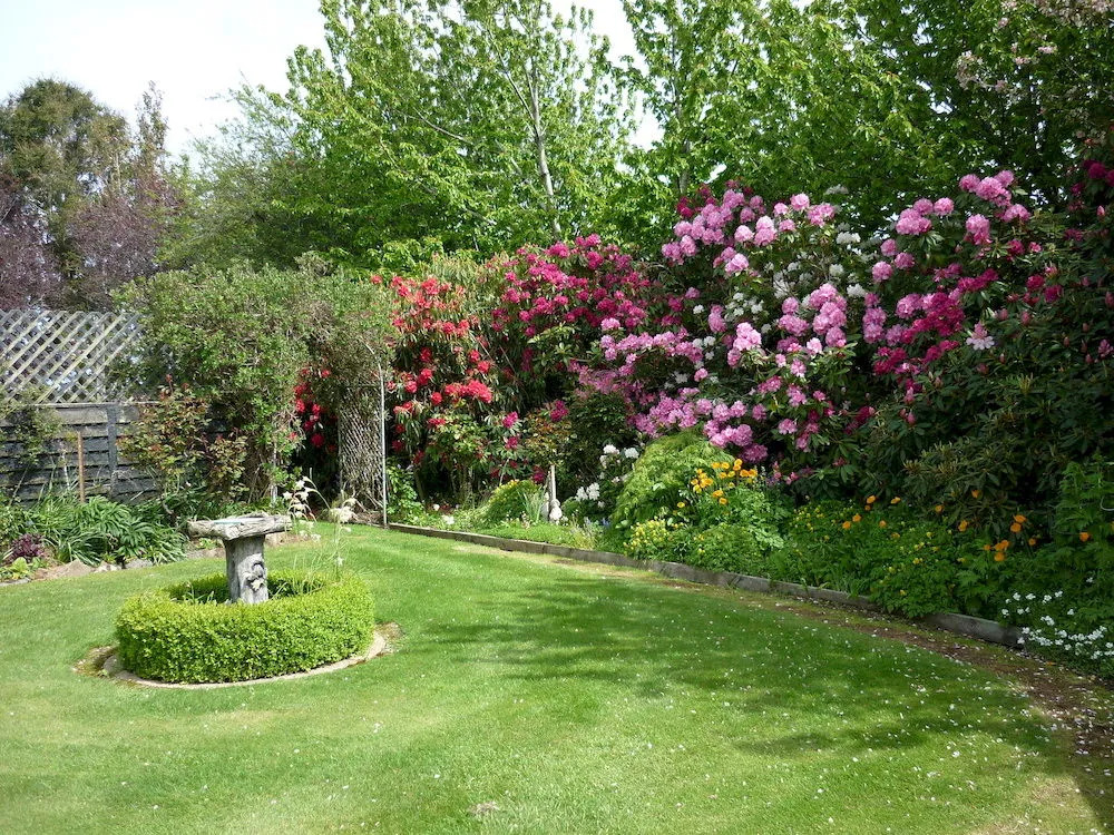 The Manor