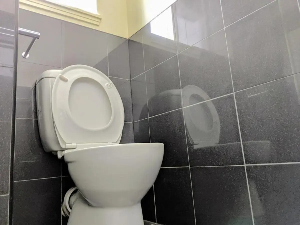 Entire Studio Apartment in St Kilda next to Luna Park