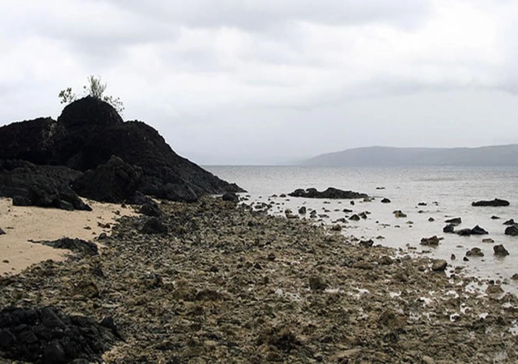 Tarzans Beach Resort
