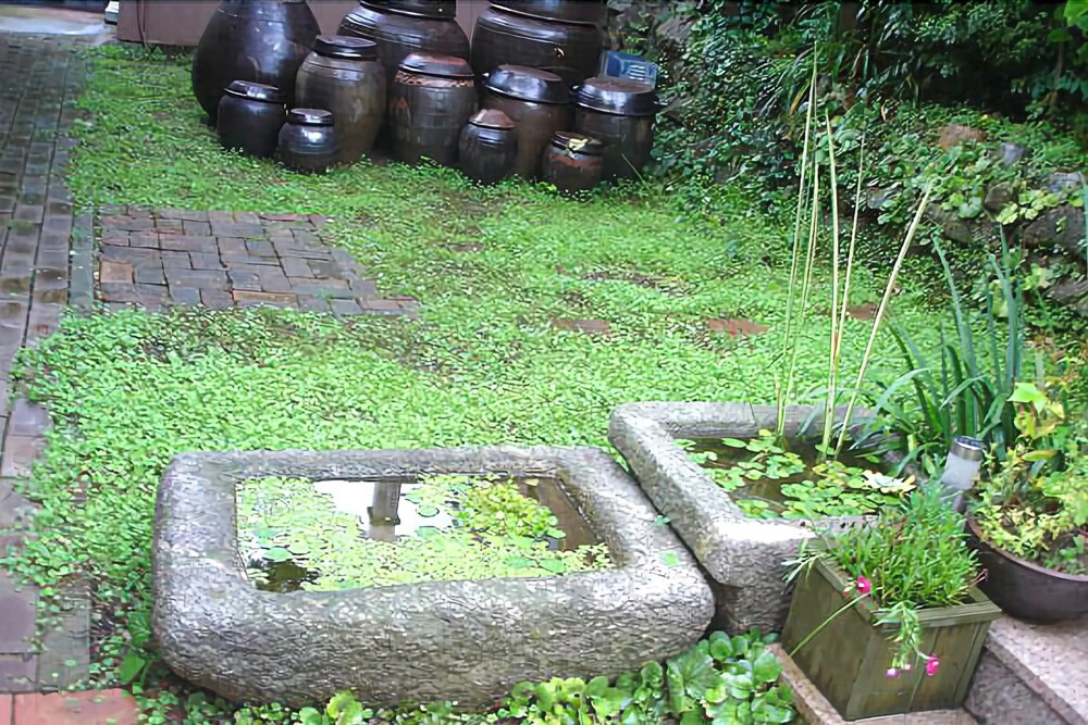 Yangpyeong Scented Clay Pension