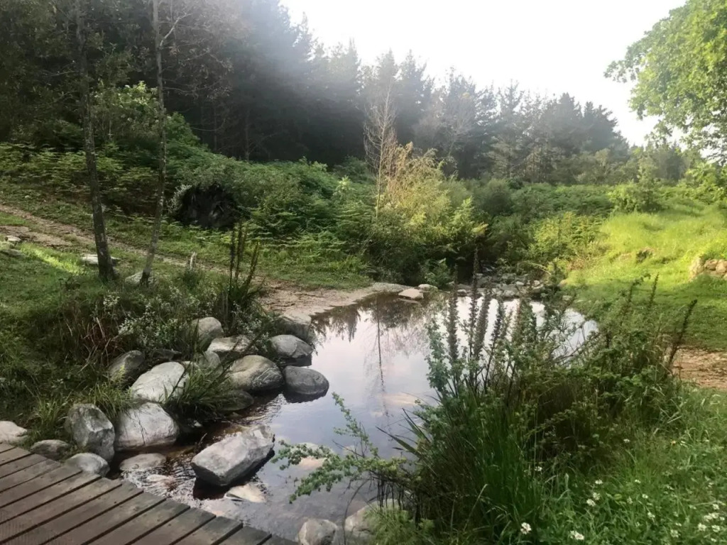 Mountain Trails Accommodation