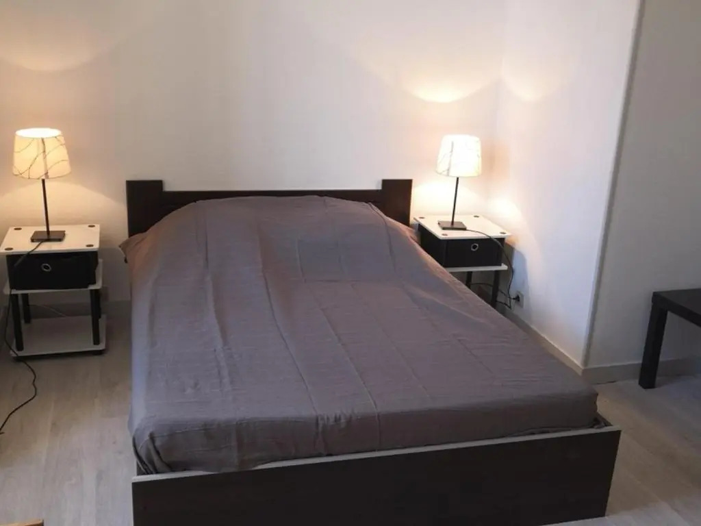 Appartement La Roche-Posay, 1 pièce, 4 personnes - FR-1-541-36