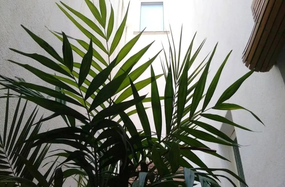 Habitacions Sant Pere Claver