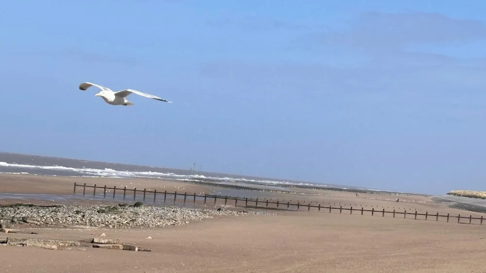 Seaside Caravan Sleeps 5 - Decking, Parking, Pets