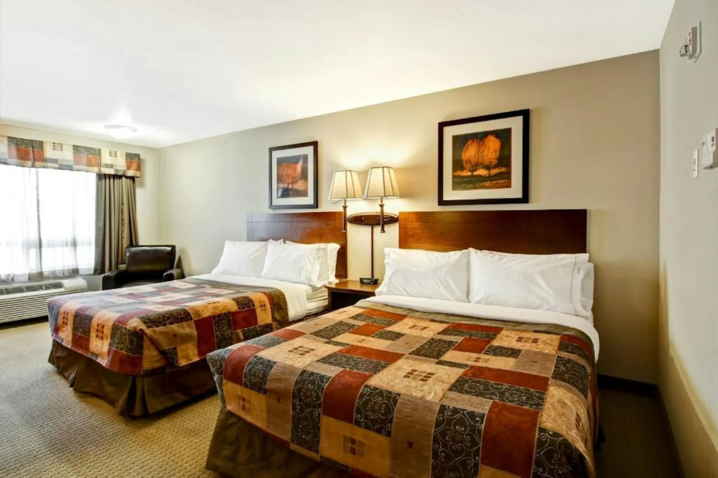 Canalta Hotel Camrose