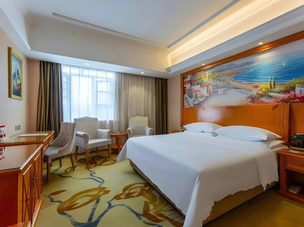 Vienna Hotel (Enshi Hangkong Avenue)