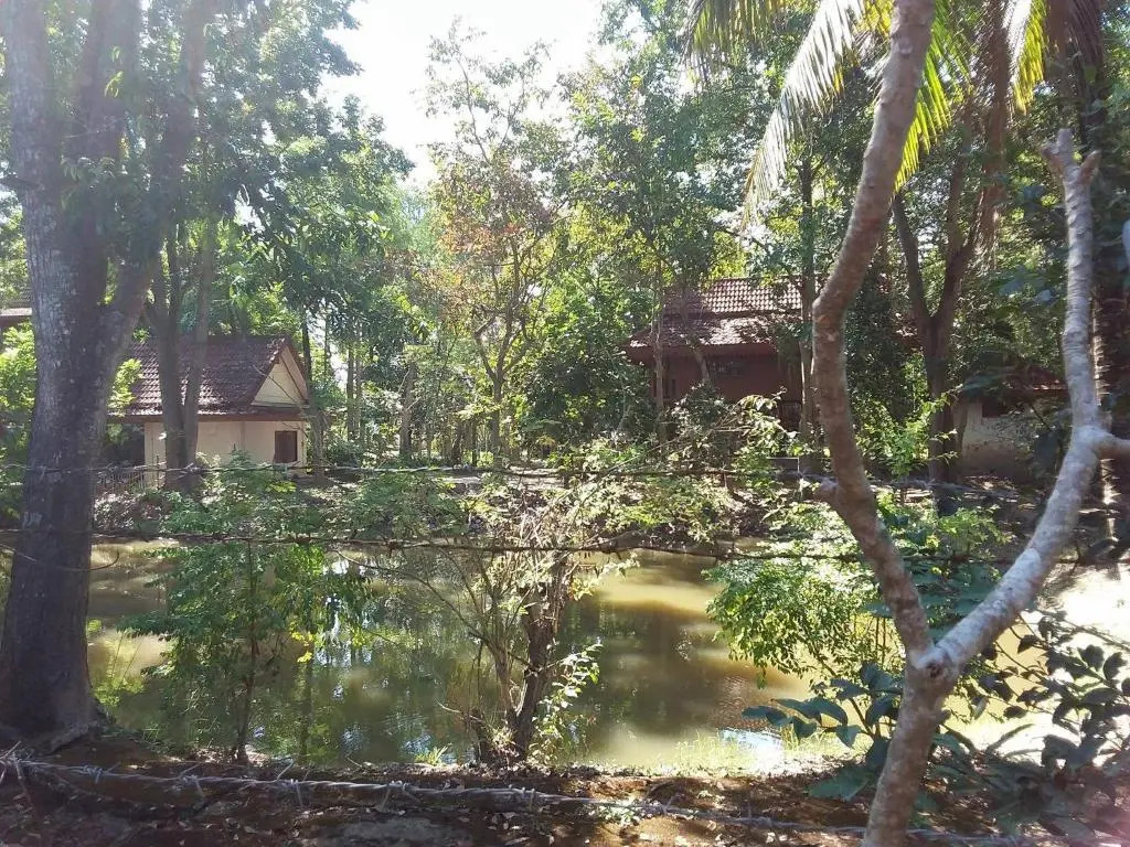 Your Home in Mae Rim