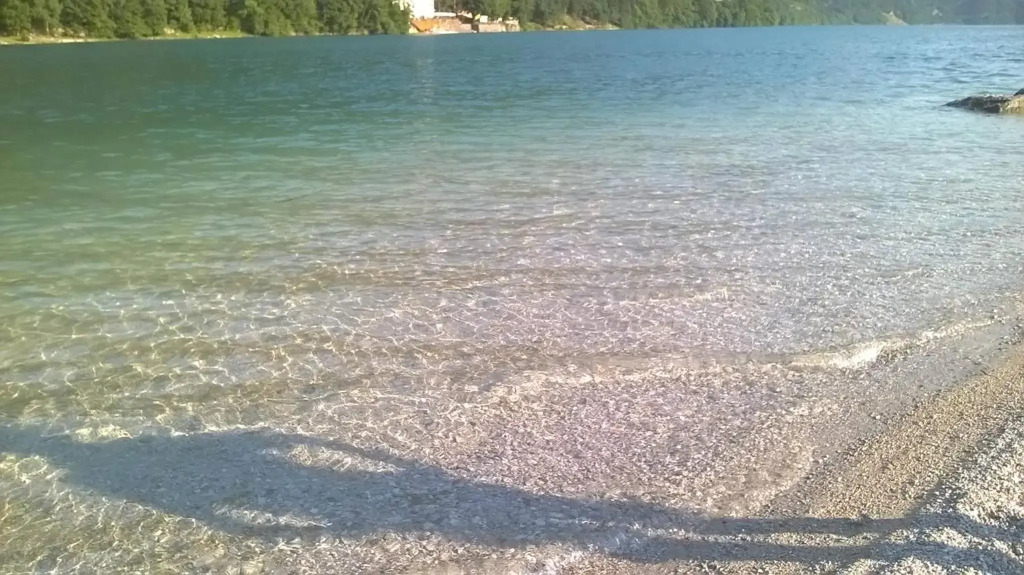 Il Nido dei Sogni