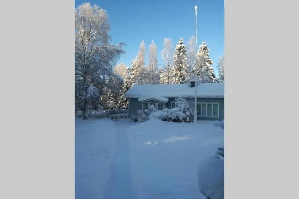 Arctic Circle Tranquillity