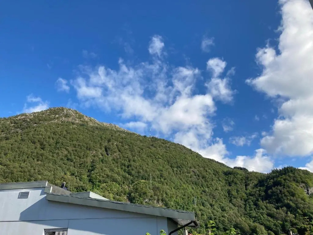 Kjellerleilighet - nært Haukeland sykehus.