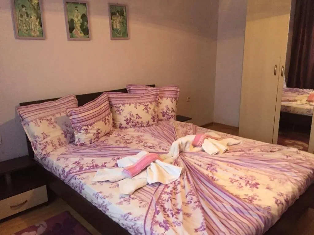 Violeta 7 Guest House