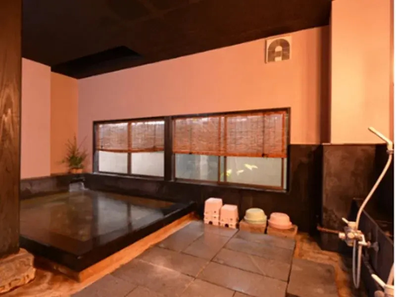 Hinagu Onsen Hiraya Hotel
