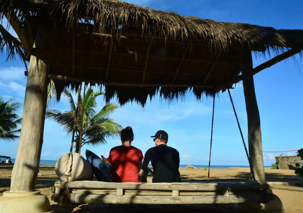 Dolphin Beach Resort - Dolphins, Kitesurfing & Wildlife