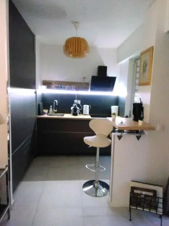 NICE- GAIRAUT - JARDIN PRIVE- GRAND F1 LUMINEUX-Piscine Collective