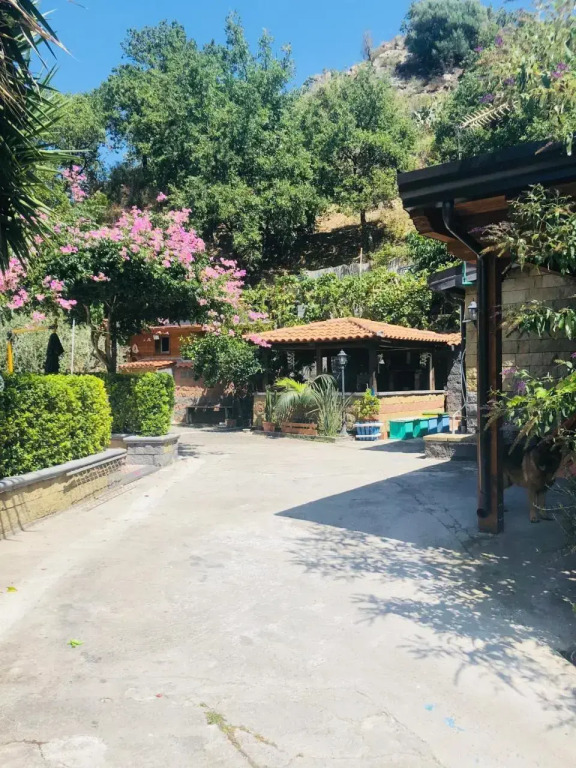 Serenity ‘s House