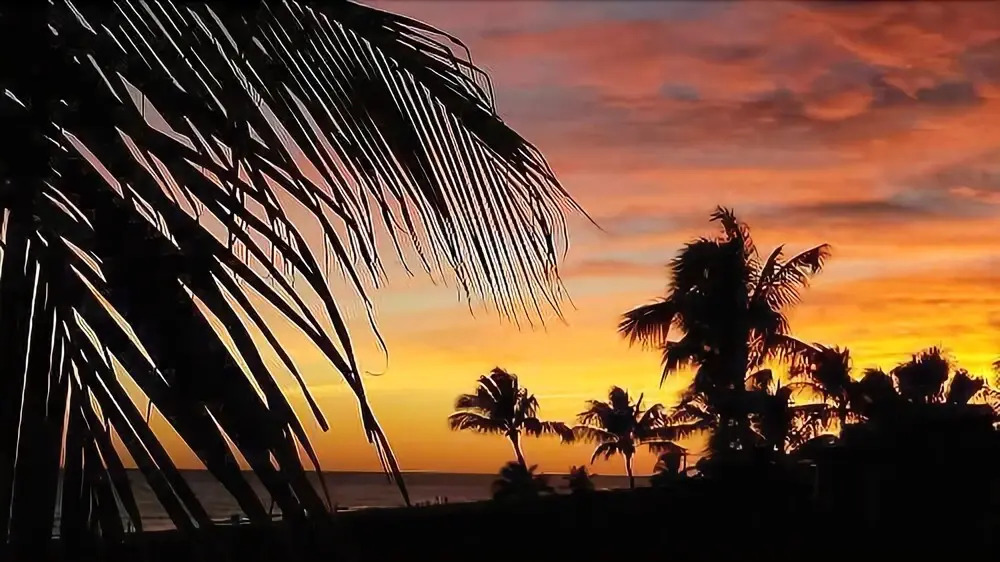 Sanibel Siesta on the Beach Unit 102 2 Bedrooms 2 Bathrooms Condo