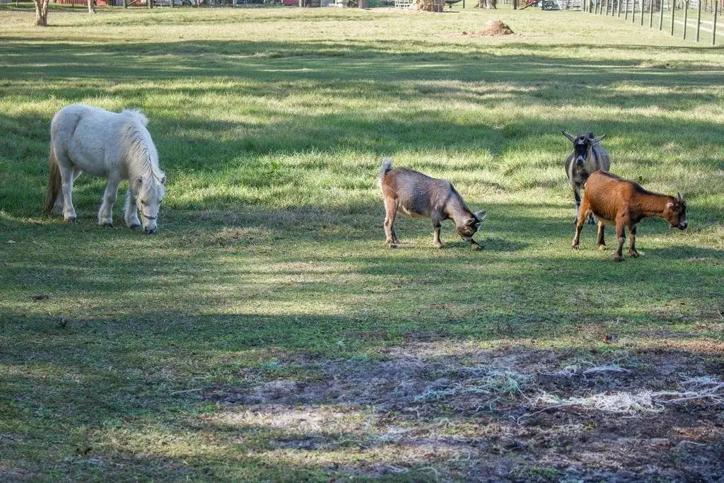 The Smoakhouse Ranch