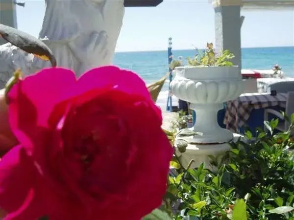 Romantic Palace Beach Apartments
