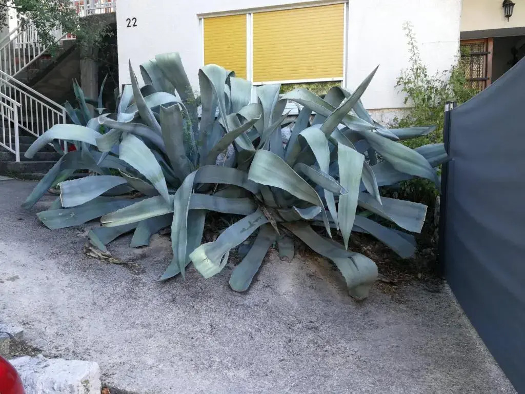 Apartments Anita