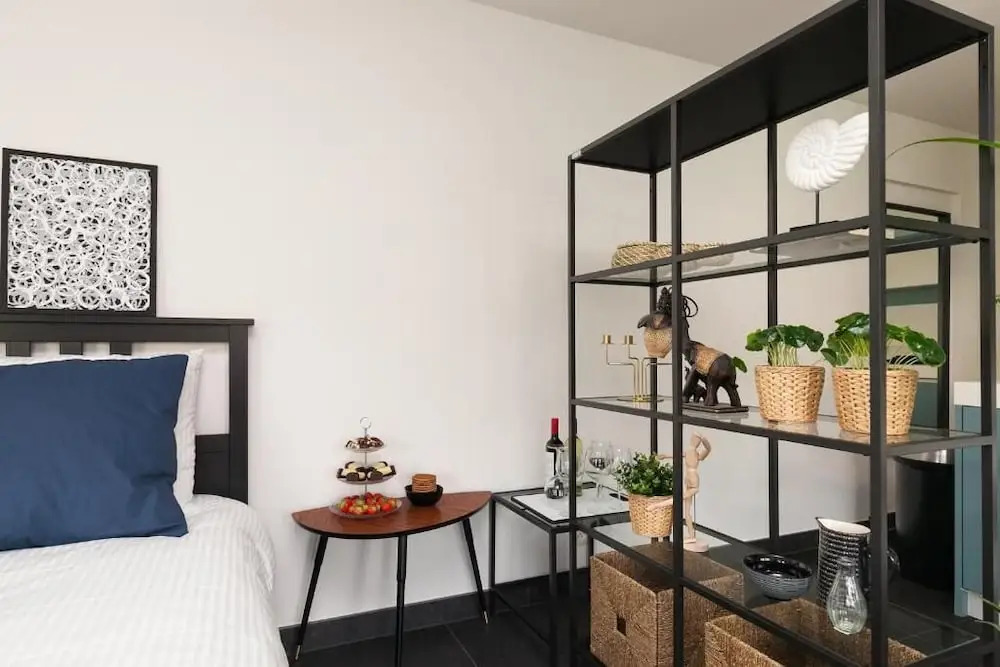 Luxurious Loft Apartment