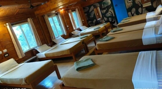 Jungle Lodges And Resorts- Sakrebyle Elephant Camp