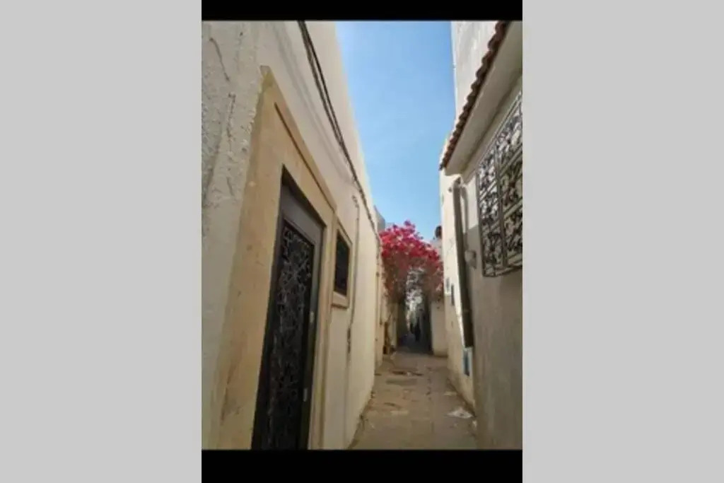 Dar El Halfaouine