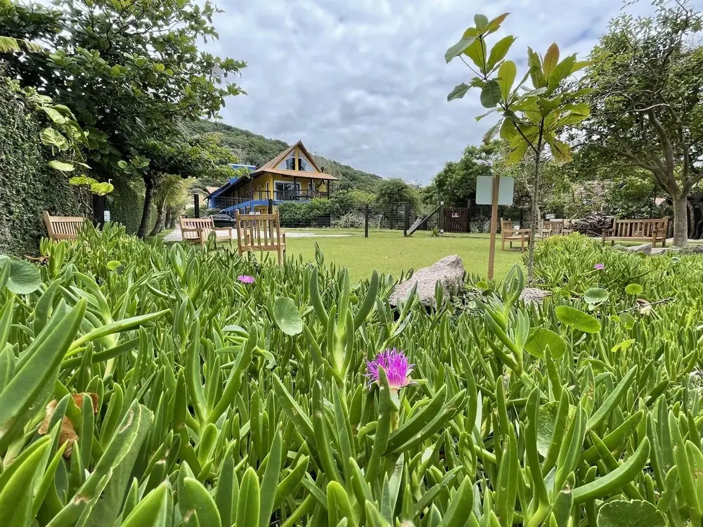 Pénareia Floripa