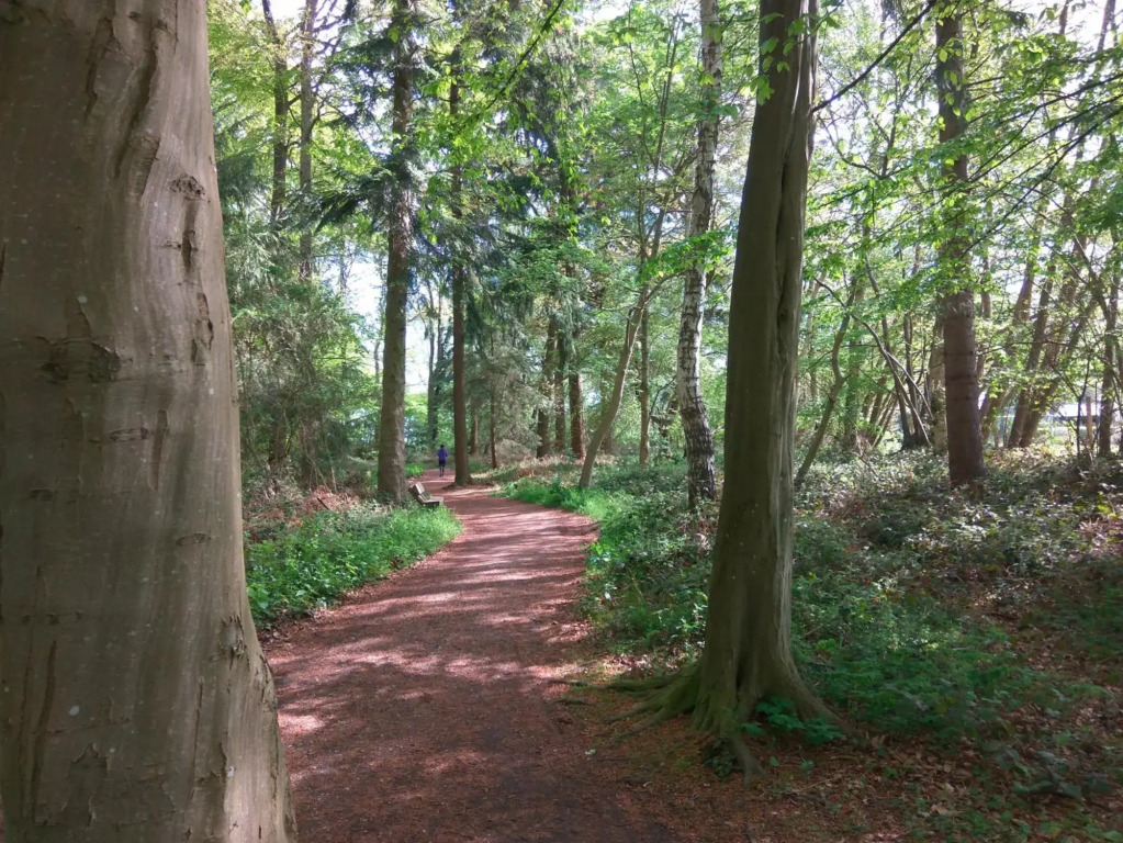 Wellness Ferienwohnung Waldblick