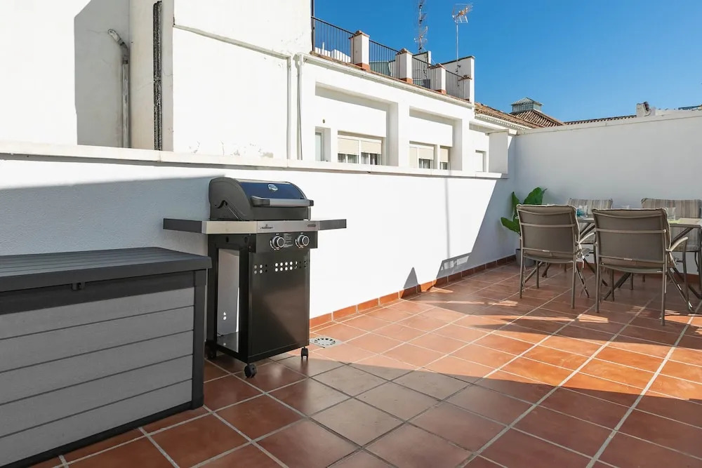 Marvelous Apt with Terrace Historical Center