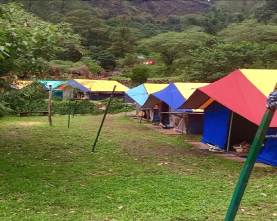 Camp Twilight