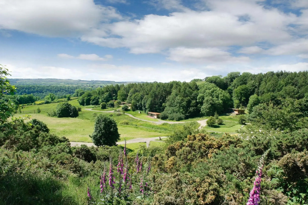 Yorkshire Dales Lodge 18 by Together Travel - 3-Bed Premium Family