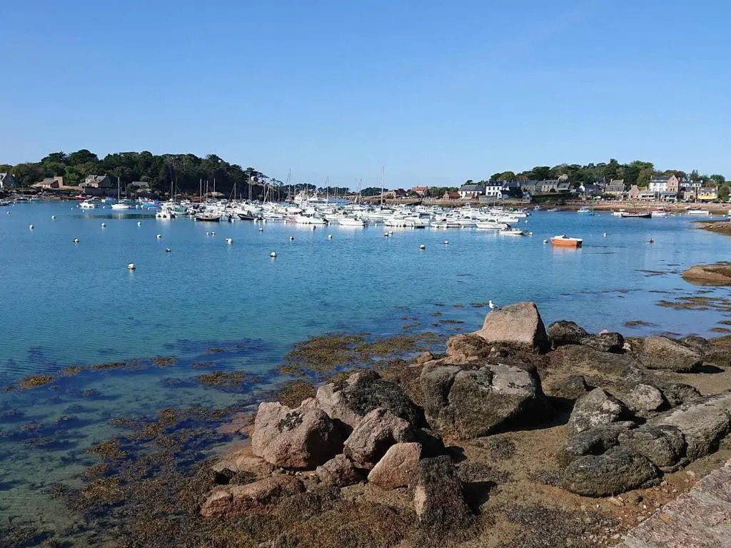 Appartement Perros-Guirec, 2 pièces, 4 personnes - FR-1-368-302